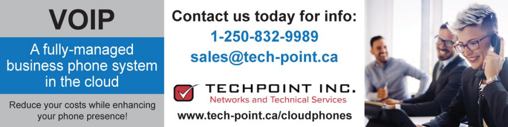 TechPoint cloud phone systems